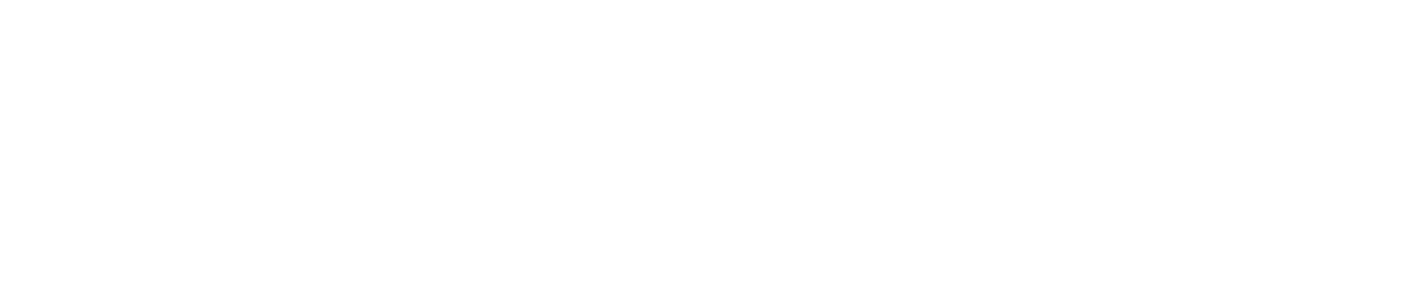 Ameris_RGB_HorizontalBrandmark_White_Transparency